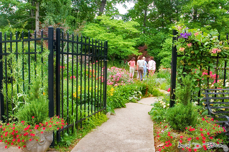 Ariel Bravy: Photoblog